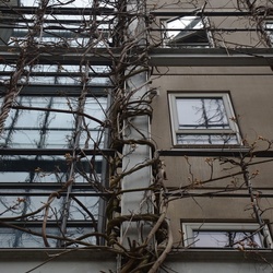 2017-04 Copenhagen/Nørrebro/DSC_0045.JPG